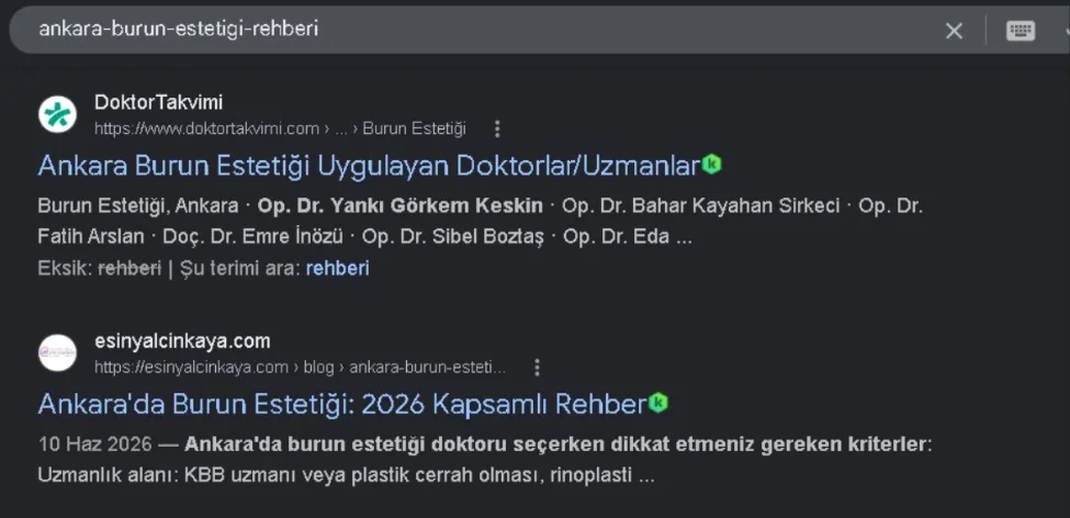 Google arama sonucu: esinyalcinkaya.com blog makalesi ilk sayfada